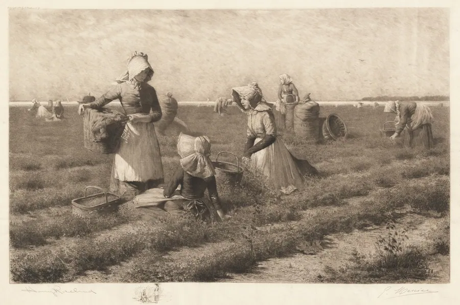 Cranberry Pickers by Gustave Mercier