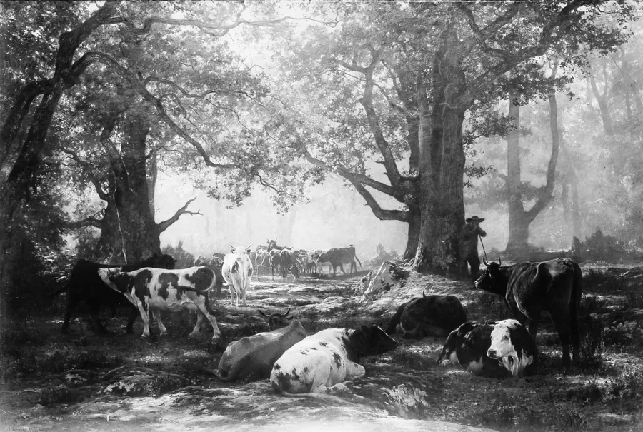 Environs of Fontainebleau: Woodland and Cattle by Auguste-François Bonheur