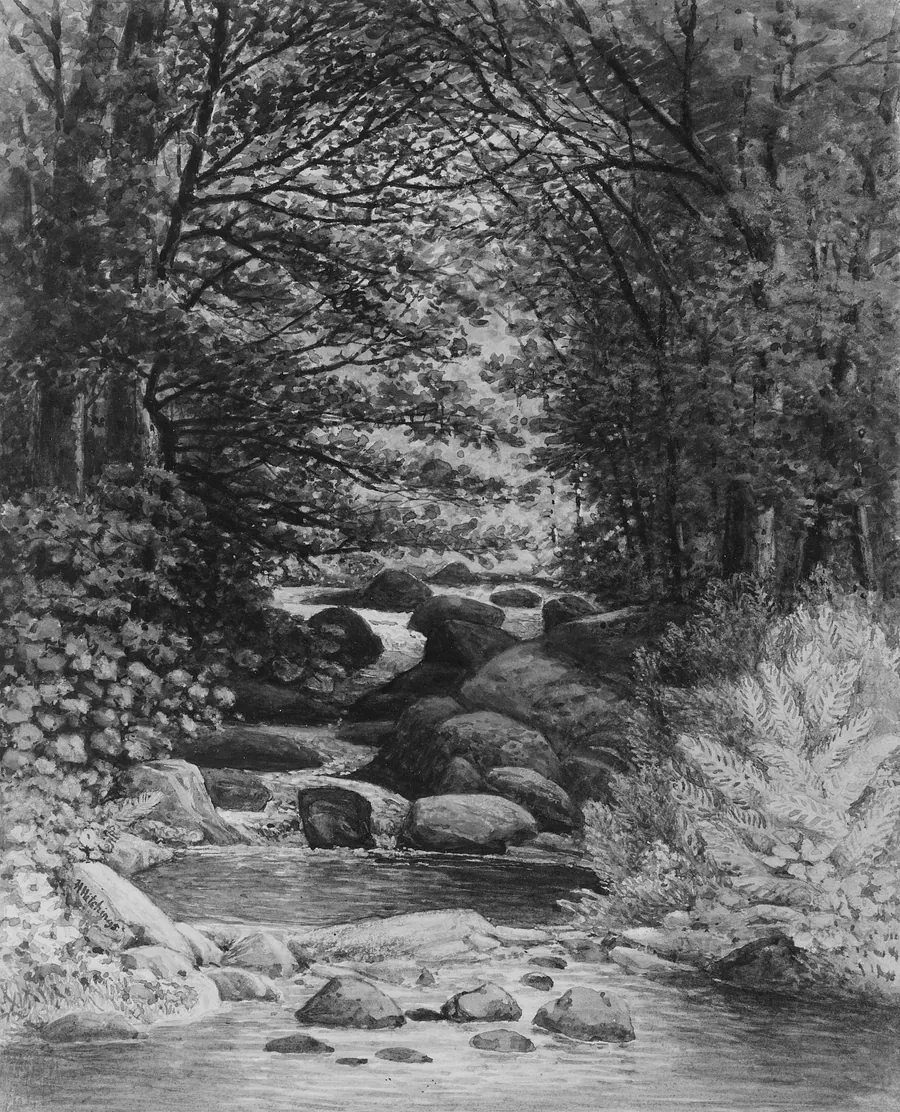 A Forest Cascade at Hiram, Maine by Henry Hitchings