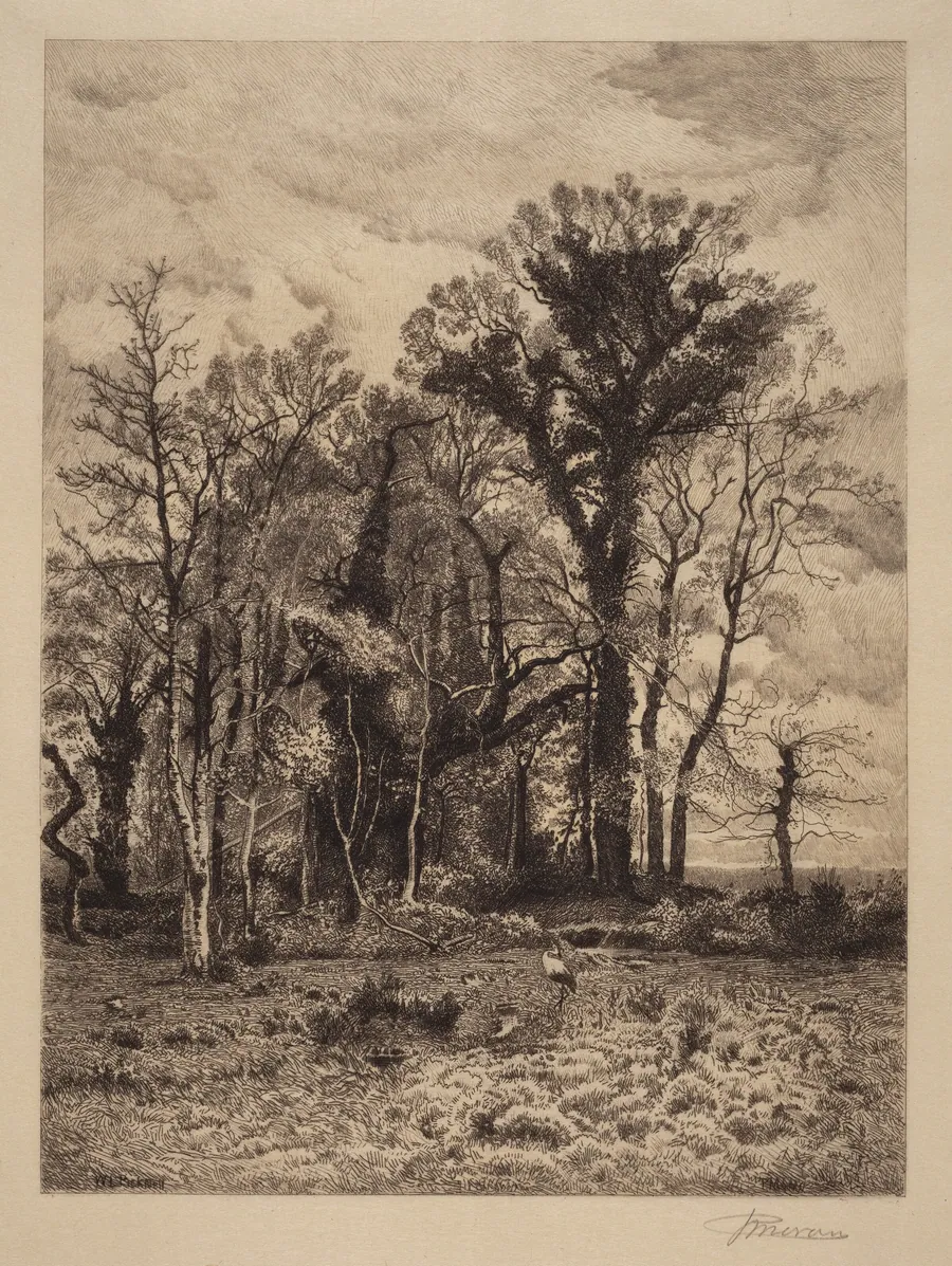 The Edge of the Swamp by Peter Moran