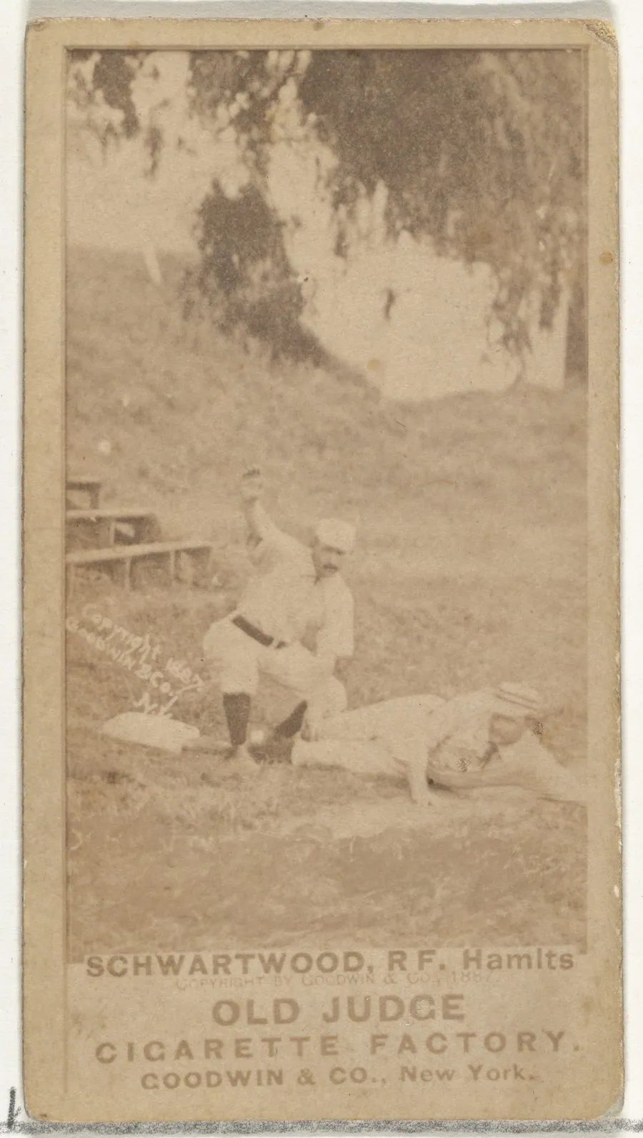 Schwartwood, Right Field, Hamit, from the Old Judge series (N172) for Old Judge Cigarettes by Goodwin & Company