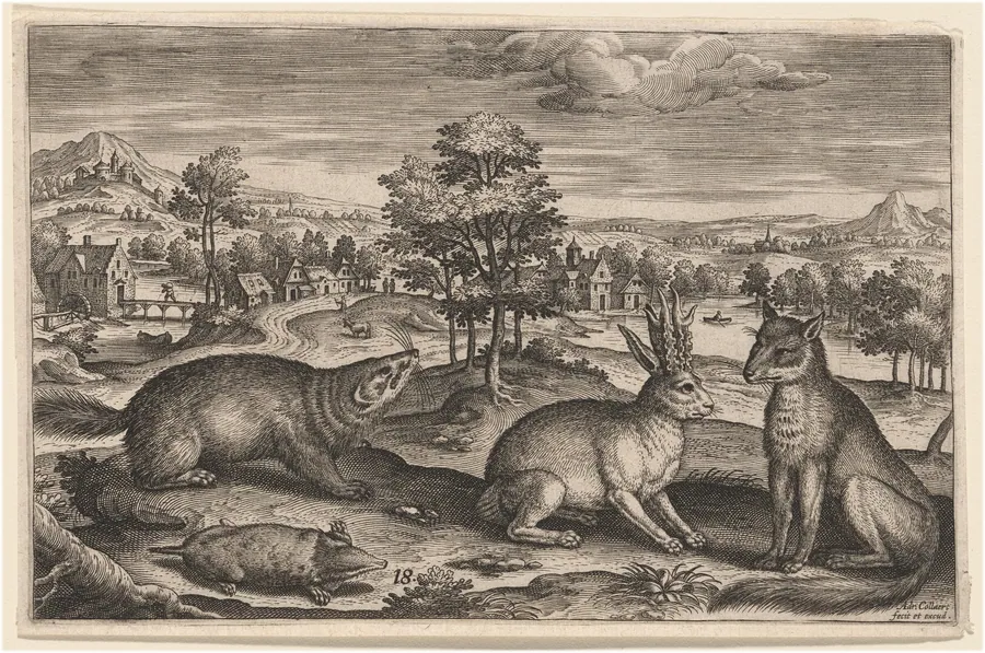 A Mole, a Badger, a Horned Hare and a Fox by Adriaen Collaert
