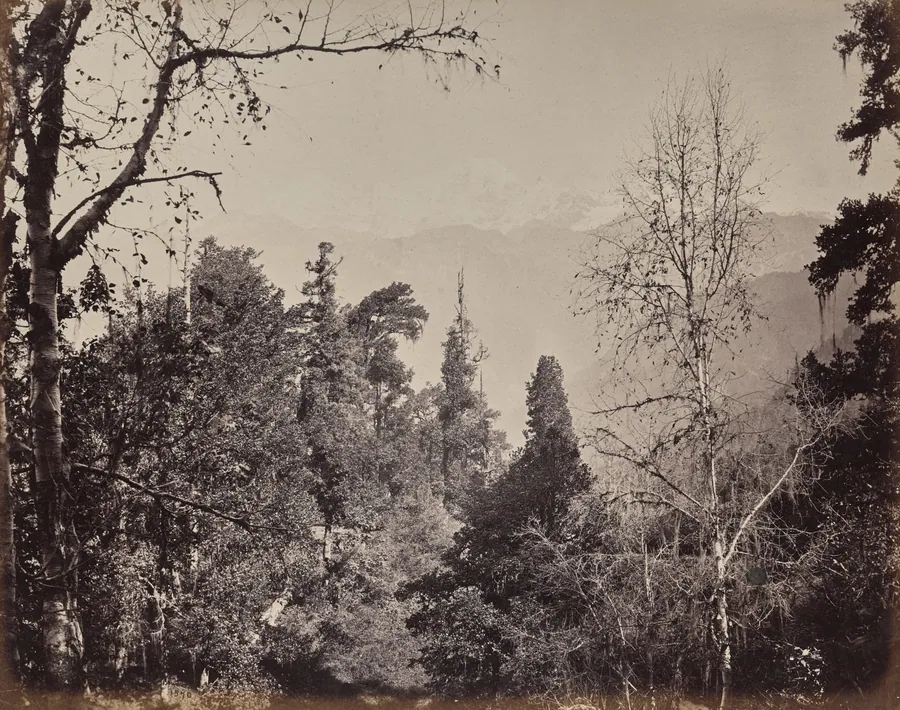 The Upper Himmalayahs. View of the Mountain of Bunderpoonch with the Jumnootri Peak, 20,458 above the Level of the Sea by Samuel Bourne