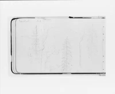 Mission (Warnock?): Landscape with Mountains and Foreground Trees (from Sketchbook)
