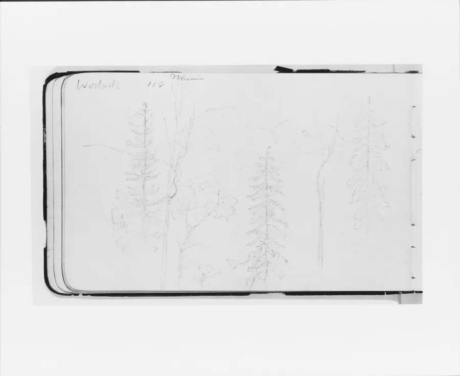 Mission (Warnock?): Landscape with Mountains and Foreground Trees (from Sketchbook) by Albert Bierstadt