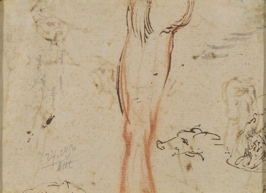 A Leg and a Pig's Head by Jacques Callot