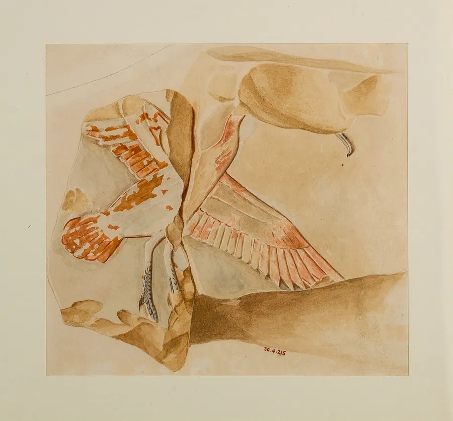 Water Fowl by Hugh R. Hopgood