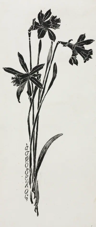 Daffodils