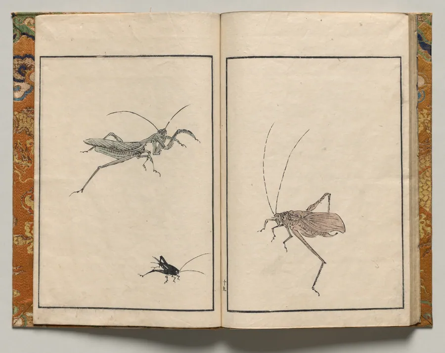 Crickets, Design Nineteen from Shazanrō Picture Book by Tani Bunchō