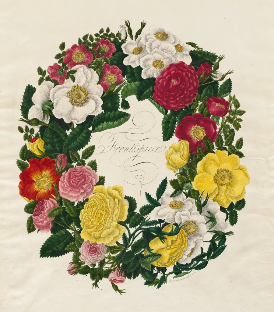 A Wreath of Roses by Mary Lawrance