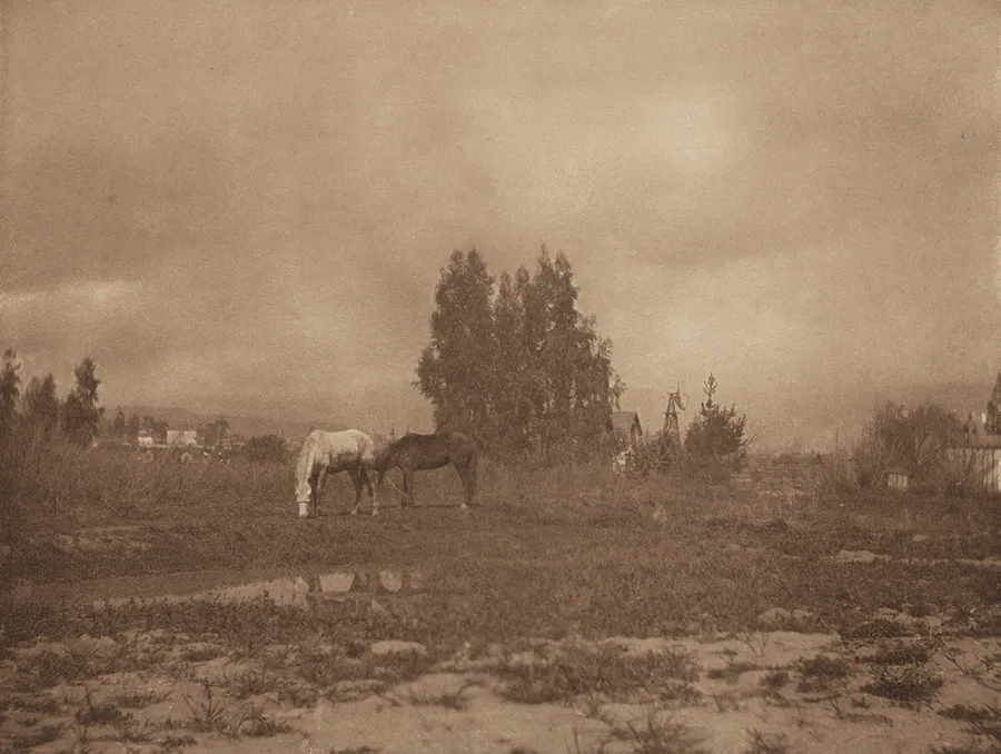 Pasadena Landscape by William B. Post