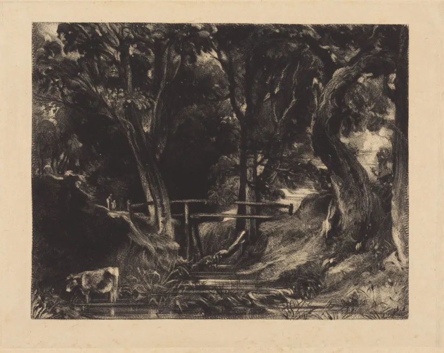 A Dell, Helmingham Park, Suffolk by David Lucas