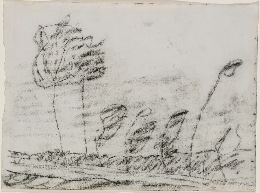 Seven Trees by Paula Modersohn-Becker