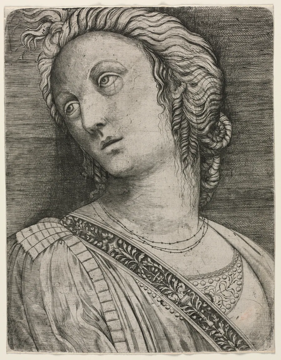 Bust of a Woman by Jacopo de' Barbari
