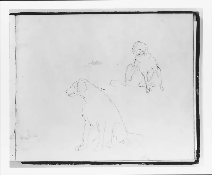 Two Studies of a Dog: Seated and Scratching (from Sketchbook) by Francis William Edmonds