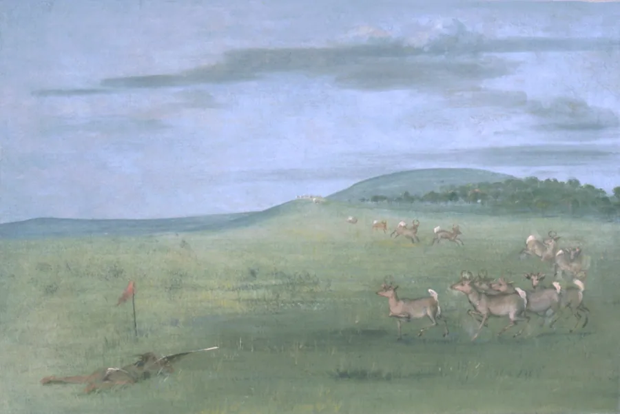 Antelope Shooting, Decoyed Up by George Catlin, born Wilkes-Barre, PA 1796-died Jersey City, NJ 1872
