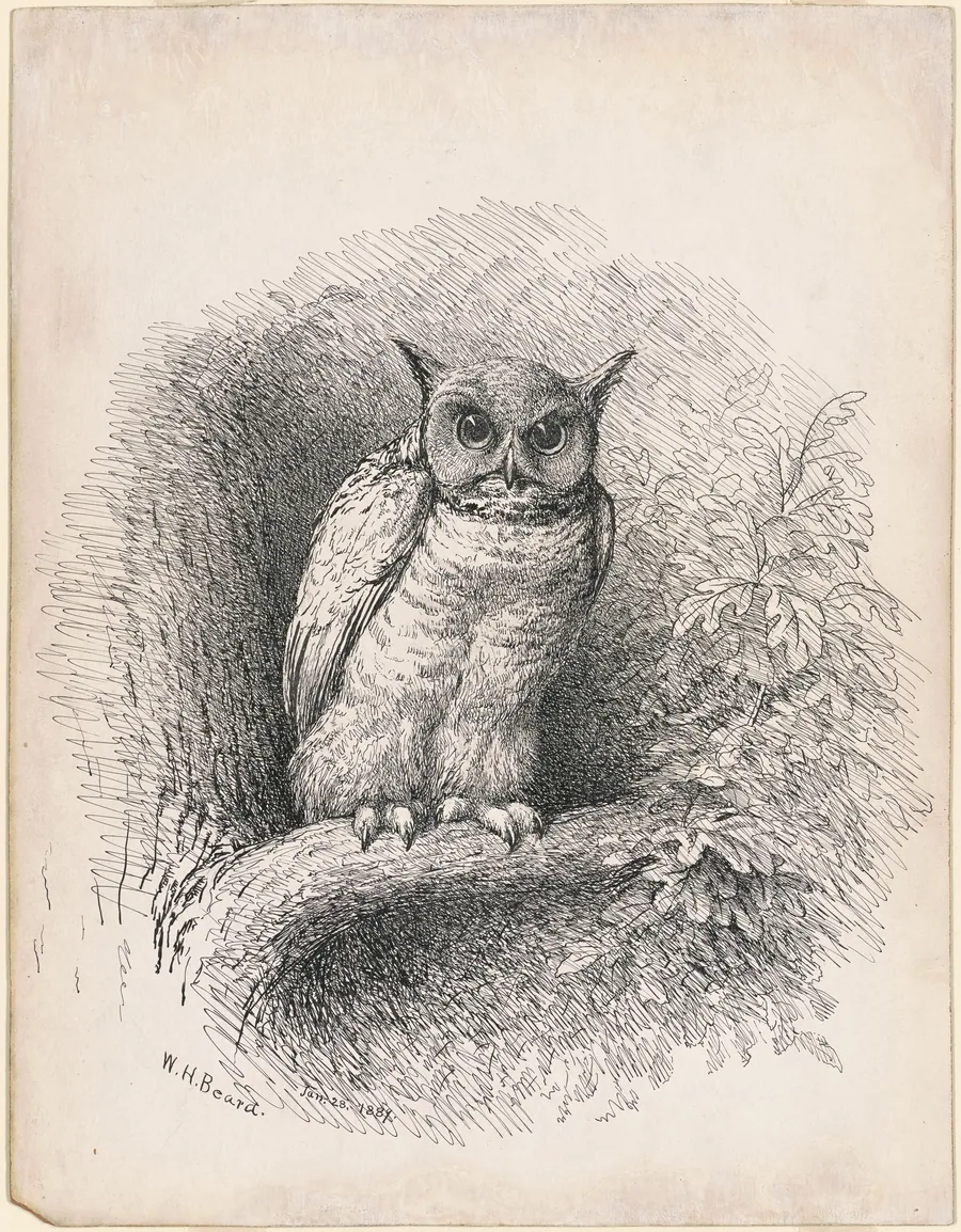 Owl by William Holbrook Beard
