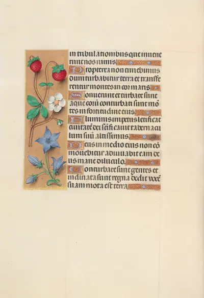 Hours of Queen Isabella the Catholic, Queen of Spain: Fol. 105v