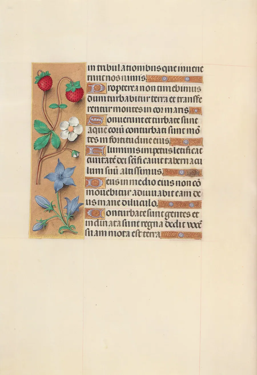 Hours of Queen Isabella the Catholic, Queen of Spain:  Fol. 105v by Master of the First Prayerbook of Maximillian