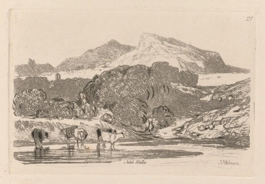 Liber Studiorum: Plate 21, View in North Wales by John Sell Cotman