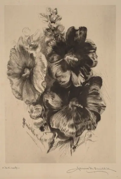 Dark Single Hollyhocks