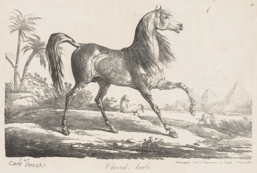 Suite de Chevaux:  Cheval Arabe by Carle Vernet