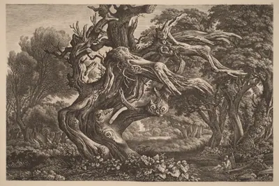 A Dead Oak Tree