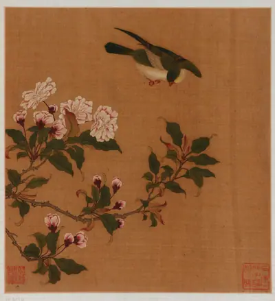 A Bird hovering over blossoming branches