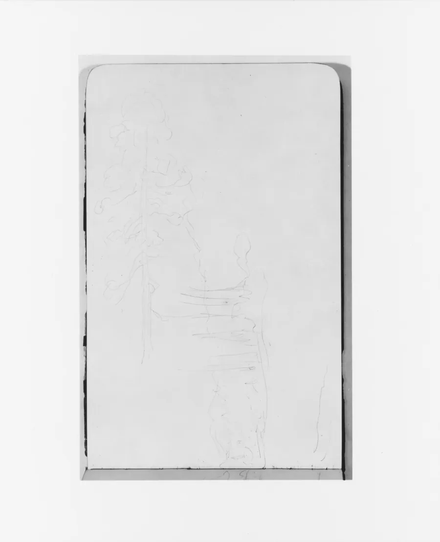 Tree Sketch and Landscape (from Sketchbook) by Albert Bierstadt