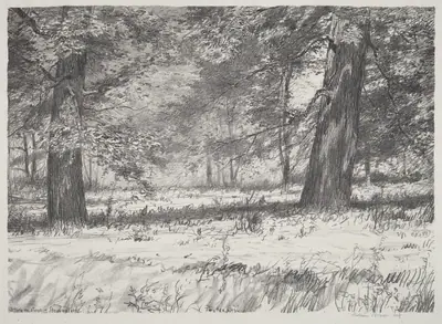 Two Maples