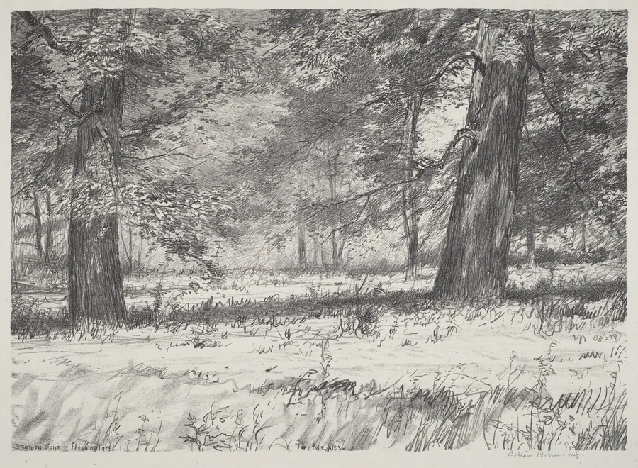 Two Maples by Bolton Brown