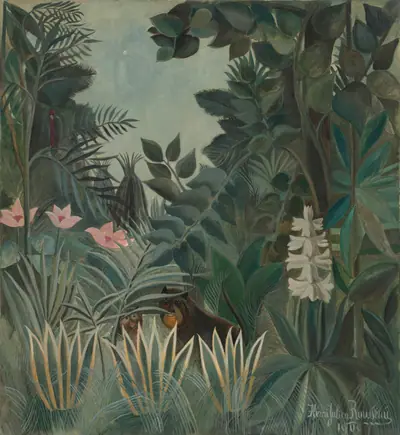 The Equatorial Jungle
