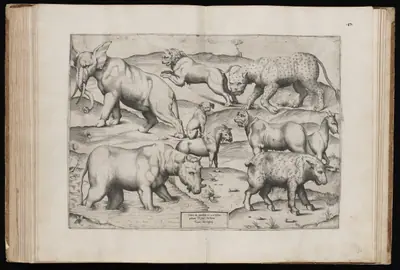 Animals from an Ancient Wall Painting [Table II]