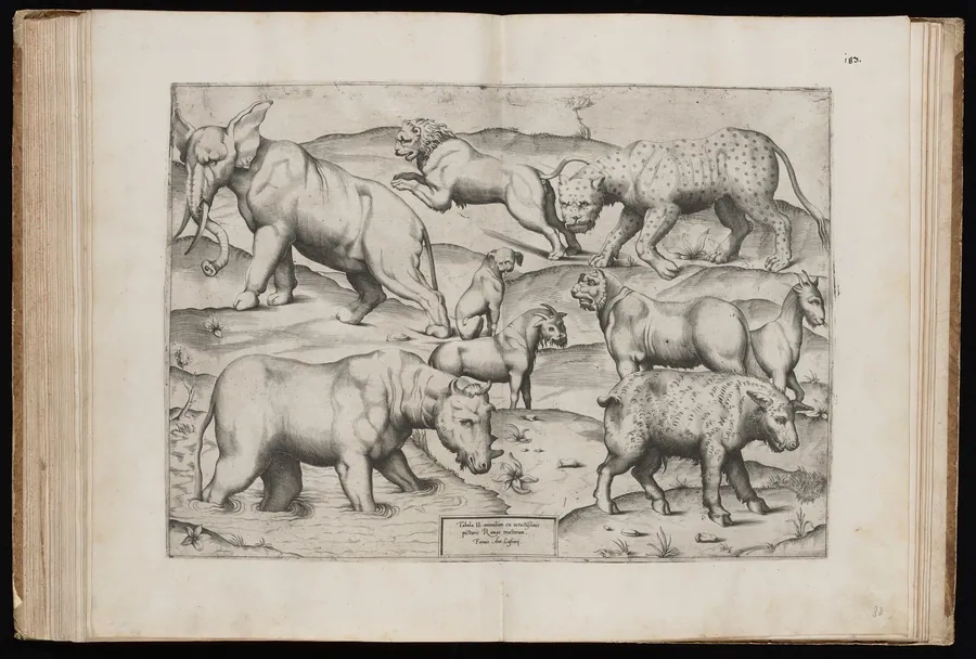 Animals from an Ancient Wall Painting [Table II] by Italian 16th Century