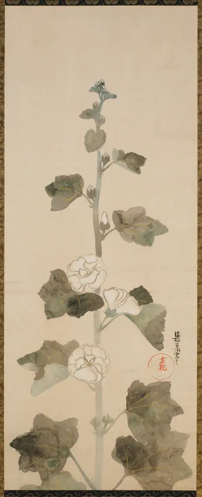 White hollyhocks