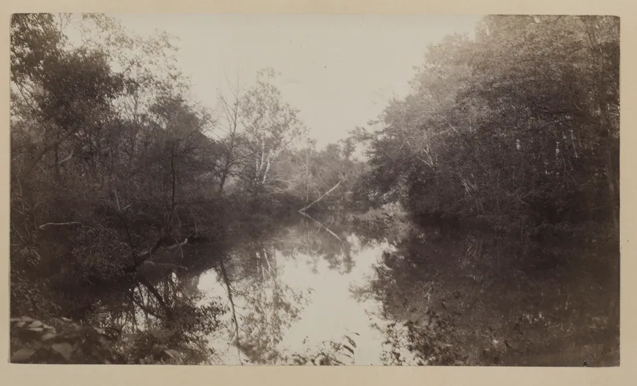 Avondale by Louise Deshong Woodbridge