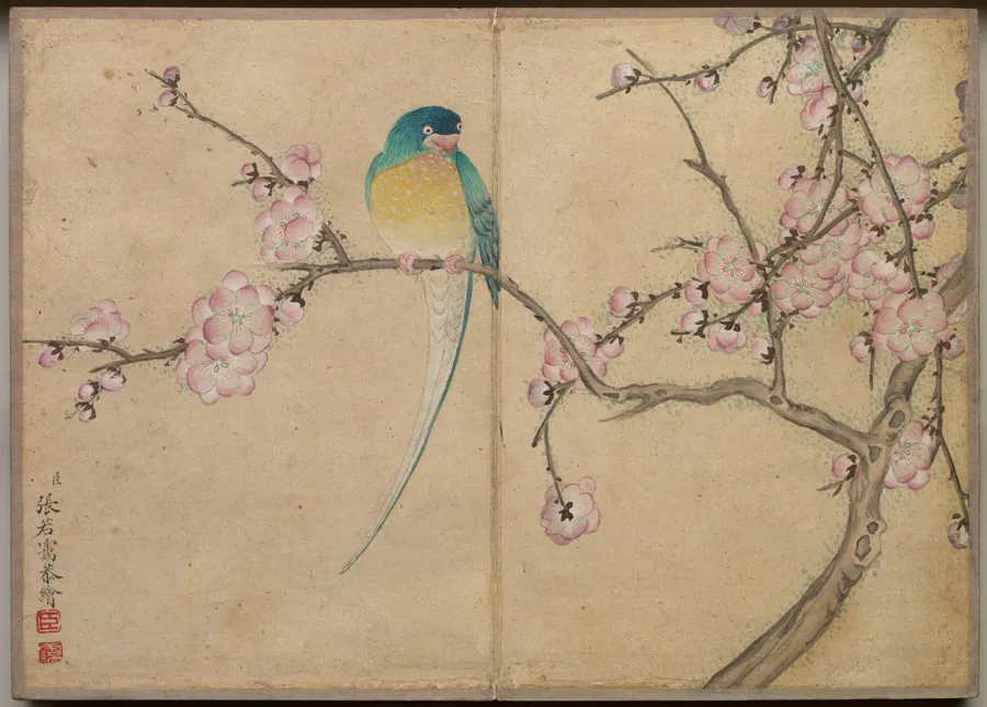 Desk Album: Flower and Bird Paintings (Bird with Plum Blossoms) by Zhang Ruoai