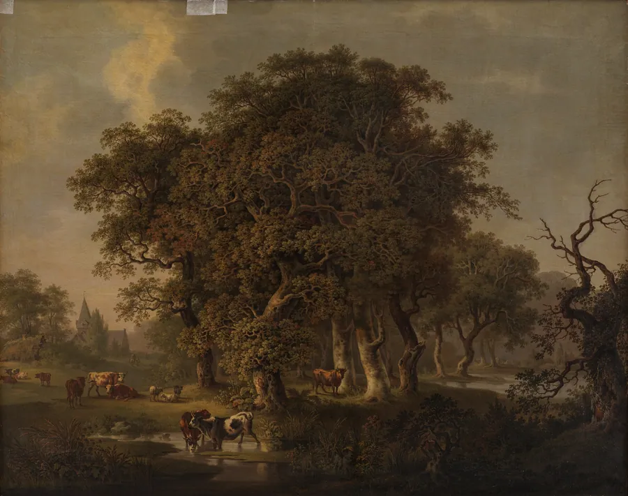 Kvæg i en skov by Samuel Mygind