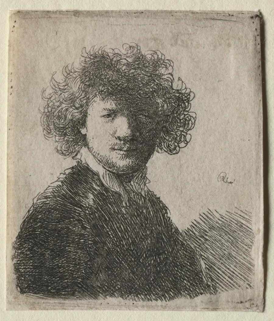 Self-Portrait with curly hair and white collar:  Bust by Rembrandt van Rijn