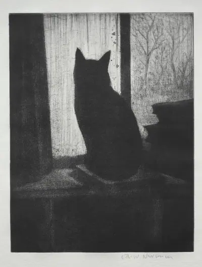 The Cat