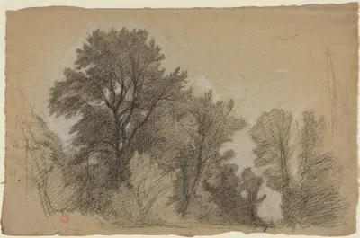 Edge of a Wood