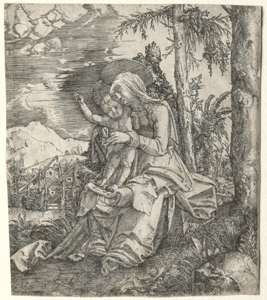 The Virgin in a Landscape by Albrecht Altdorfer