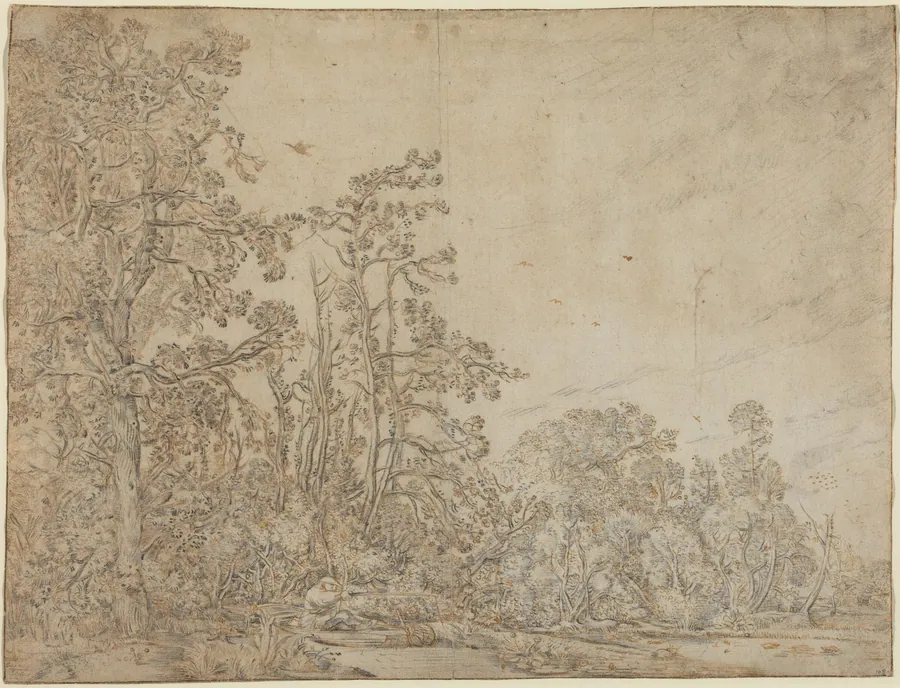 Woodland Pond with a Fisherman by Willem Buytewech