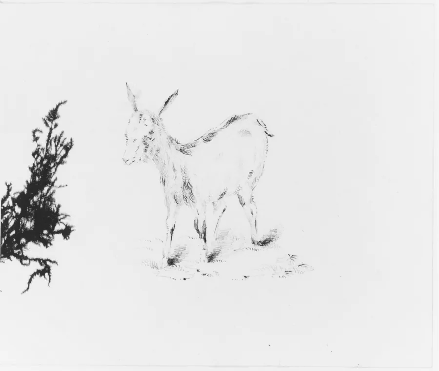 Goat (from Sketchbook) by John William Casilear