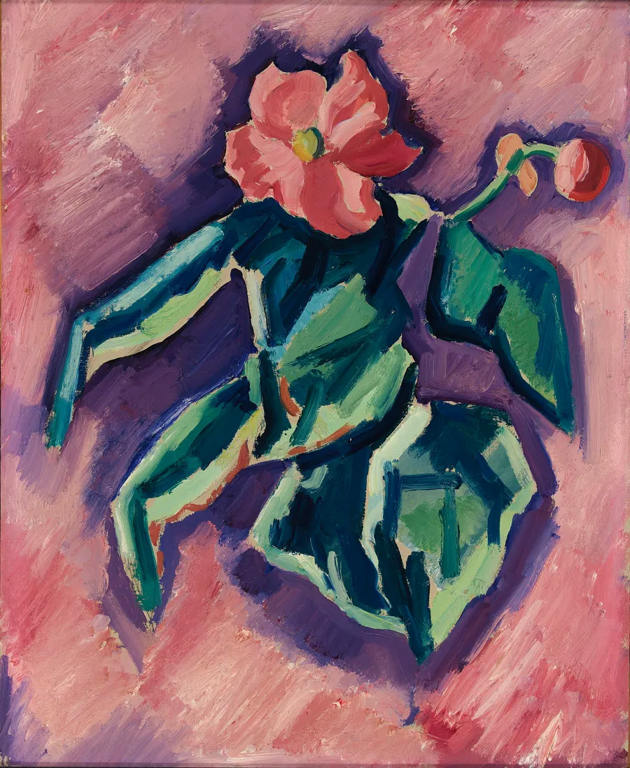 Pink Begonias by Marsden Hartley, born Lewiston, ME 1877-died Ellsworth, ME 1943