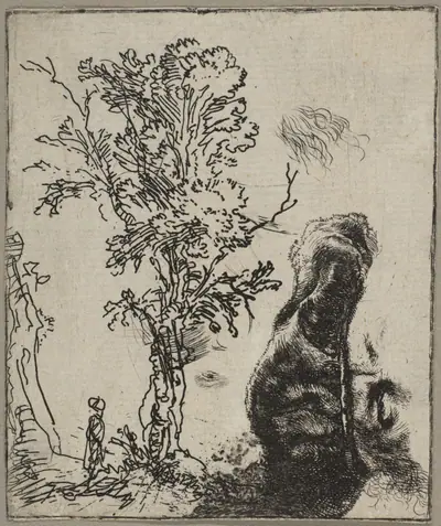 Sheet with Two Studies: A Tree and the Upper Part of a Head of Rembrandt Wearing a Velvet Cap
