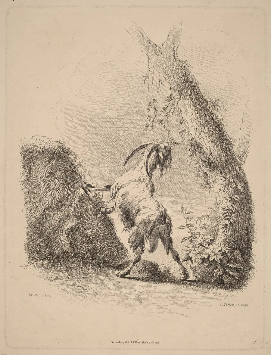 Goat in a Landscape by Adam von Bartsch