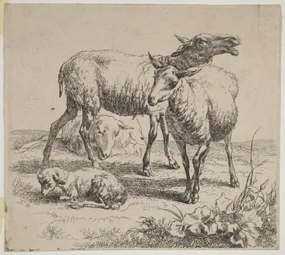 Three Sheep and a Lamb