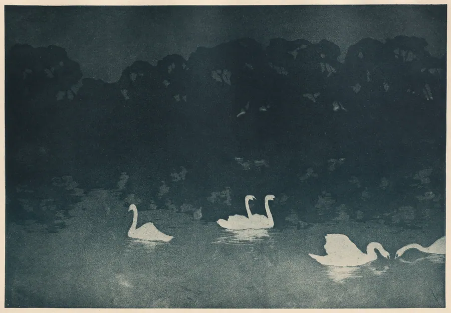 Les Cygnes by Francis Jourdain