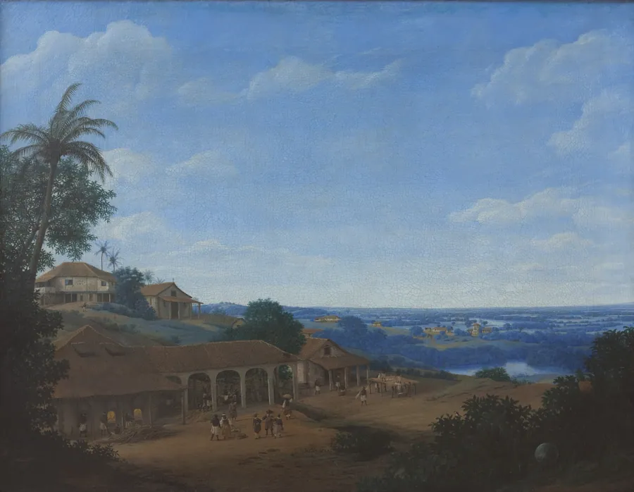 Brasiliansk landskab med sukkerrørsplantage by Frans Jansz. Post